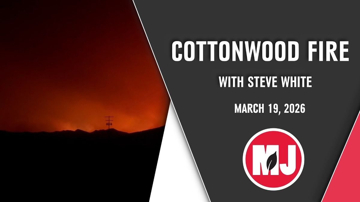 Steve White