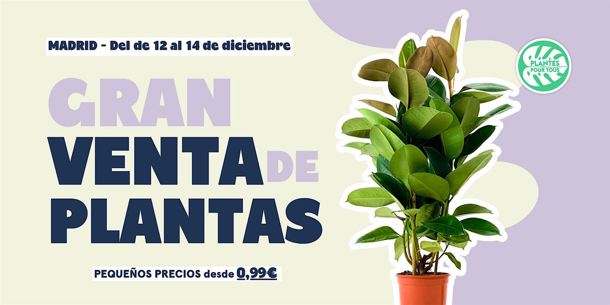 Gran Venta De Plantas - Madrid