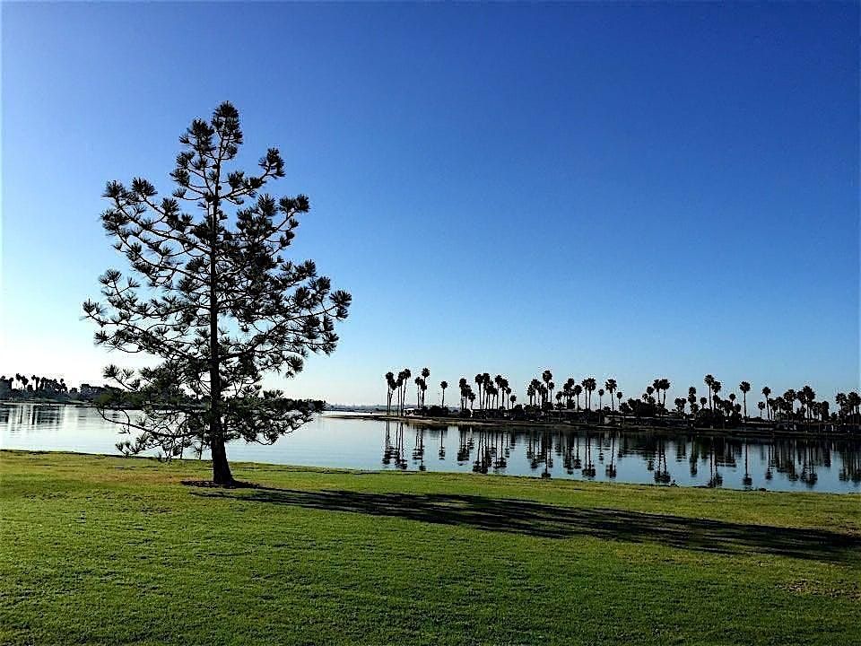 Yoga + Pilates at Mission Bay Park