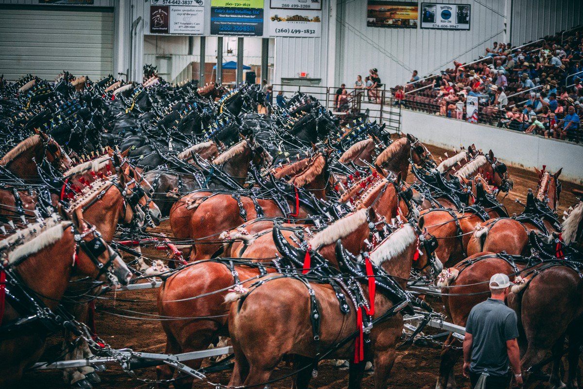 Six Horse Hitch World Finals