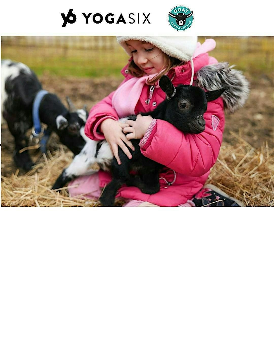 Holly Jolly Goat Yoga
