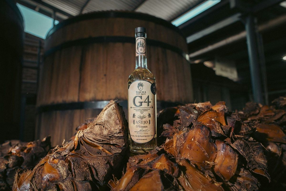 PKGD PORTFOLIO DIA DE LOS MUERTOS PARTY