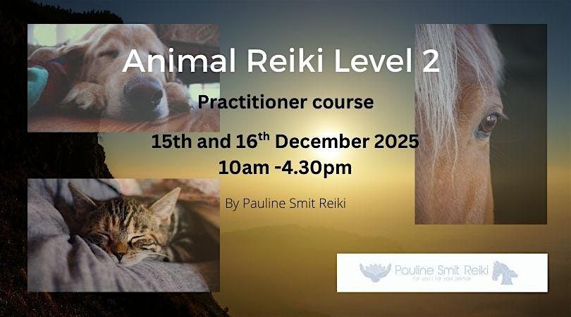 Animal Reiki level 2 (practitioner) (2 days)