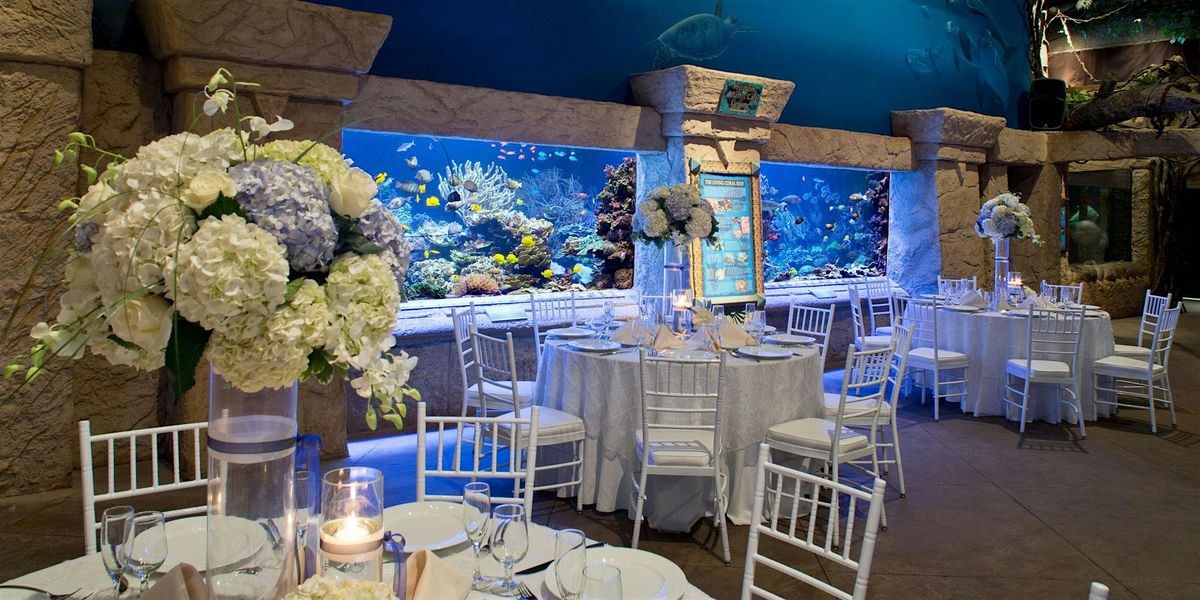 Long Island Bridal Expo, Atlantis Super Show, Sunday, Nov 2, 2025