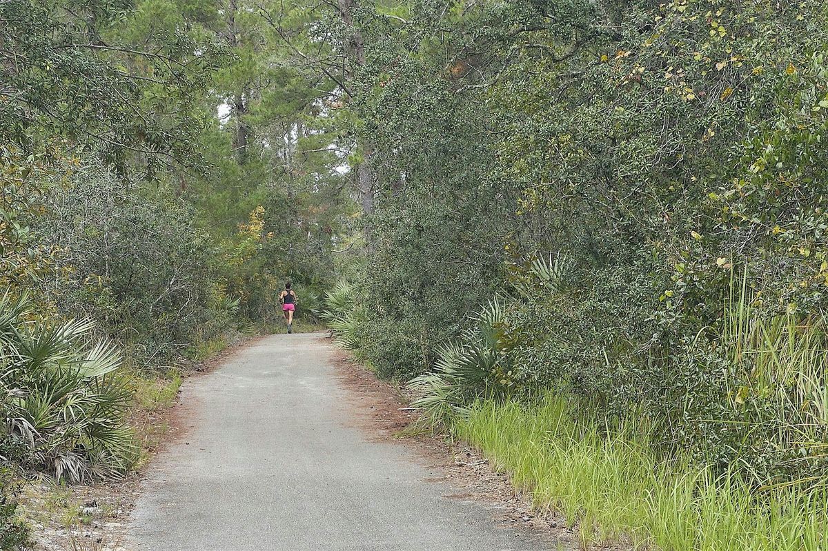 FNPS Pawpaw Chapter November Field Trip - Titusville Balm