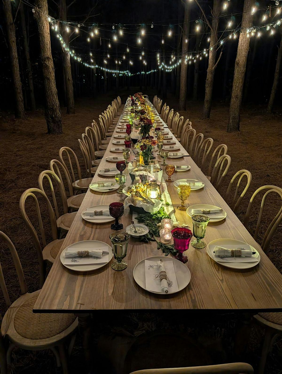 Dinner in the Pines at FigMINT Farms by Sassool NOVEMBER 8