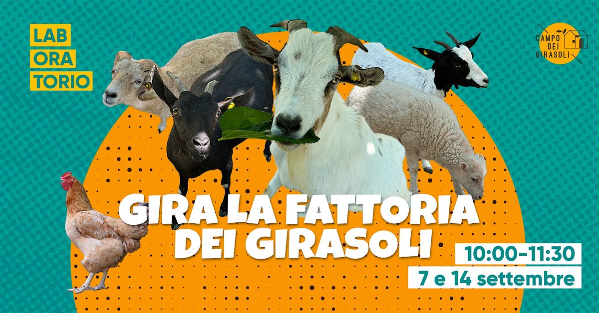 Gira la fattoria dei Girasoli