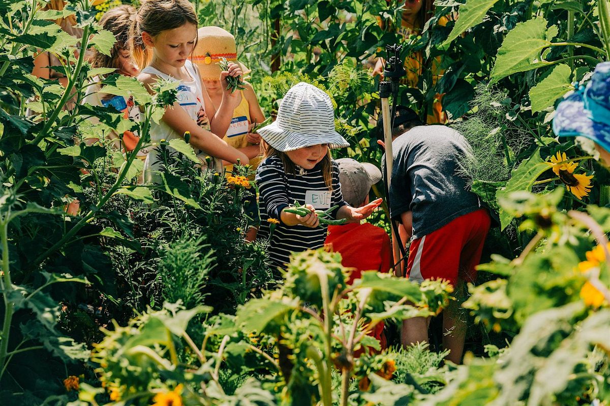 Little Farmers 8\/18\/25