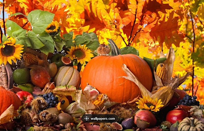 WelbeHealth - Riverside Senior Saturday - Bring Your Clients!