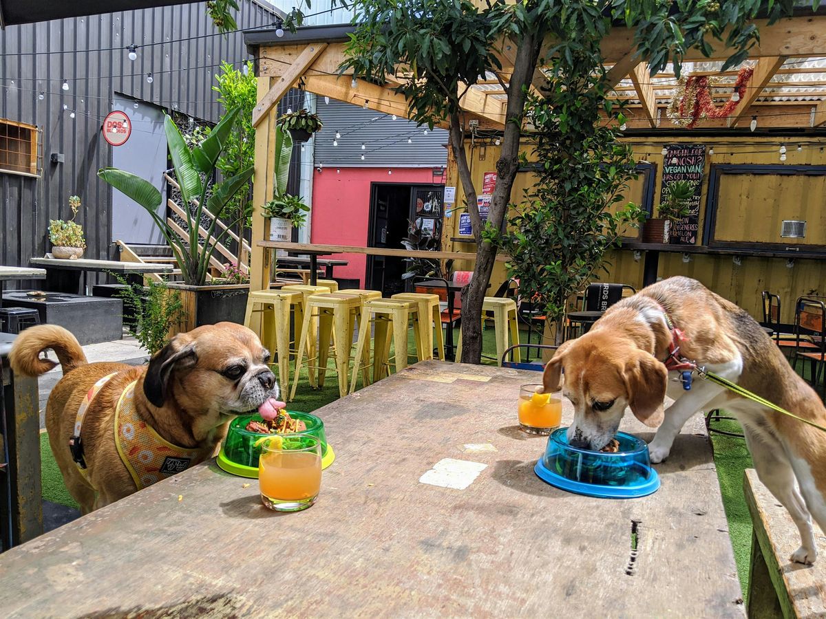 Footscray Puppy Pub Crawl