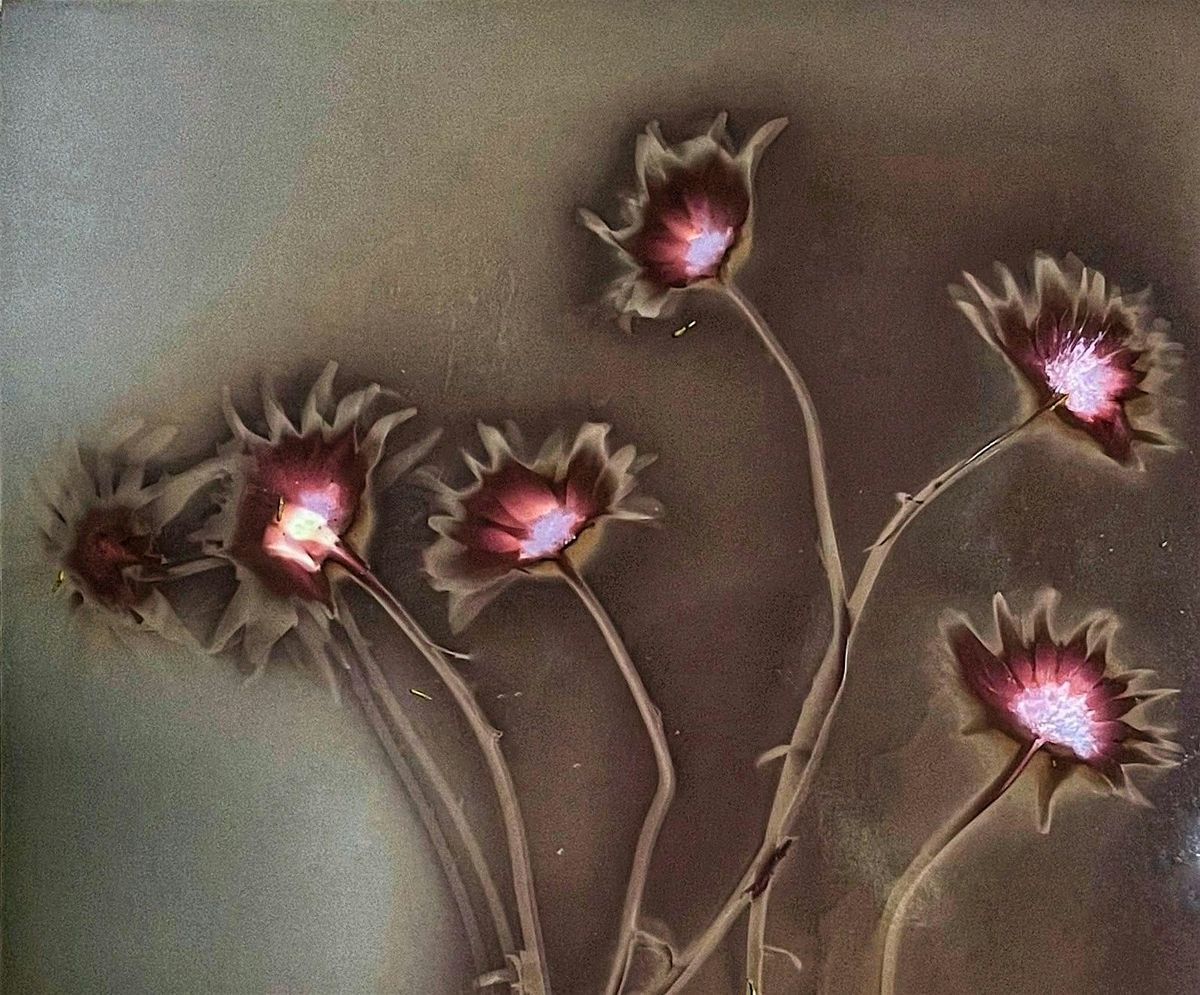 Urban Lumen, Cameraless Photography Workshop