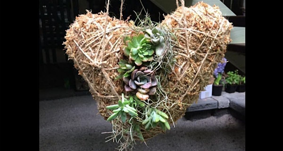 Valentine love heart Kokedama workshop