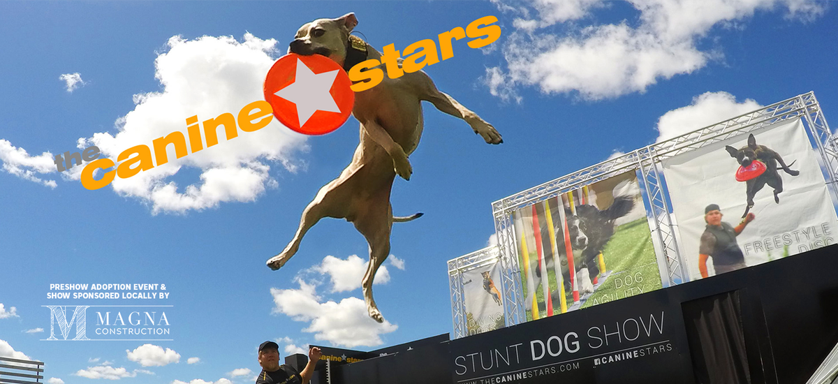 The Canine Stars Stunt Dog Show at State Theatre New Brunswick