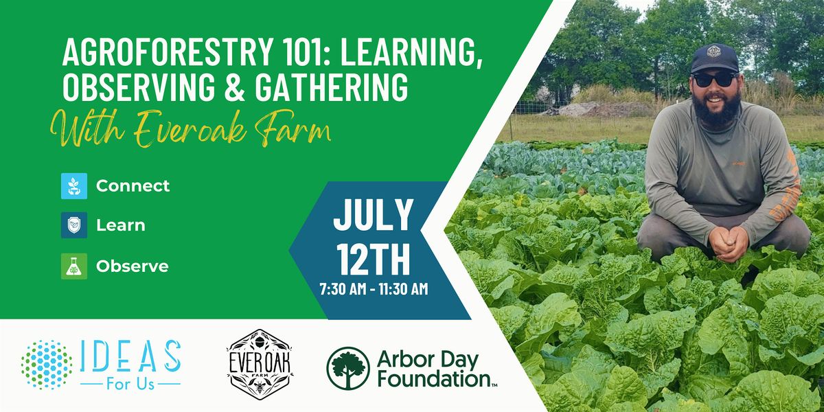 Agroforestry 101: Learning, Observing & Gathering at Everoak Farm ...