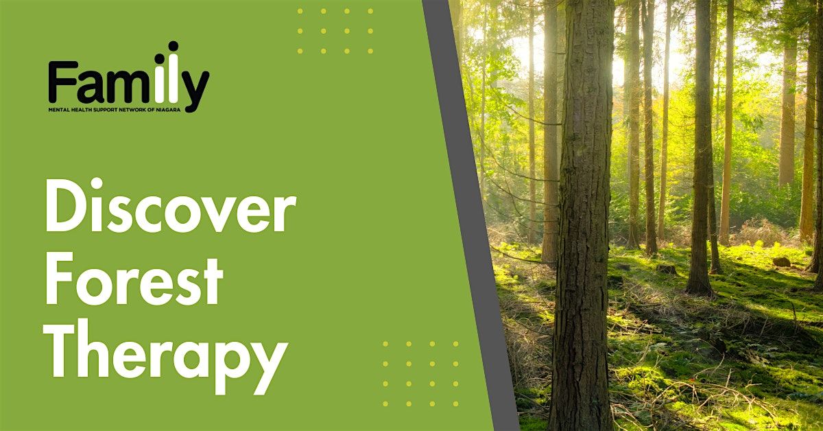 Forest Therapy Nature Experience