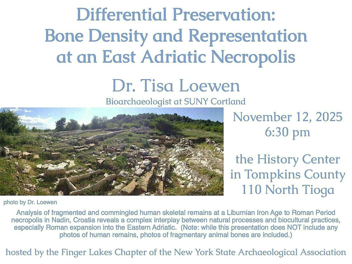 Differential Preservation: Bone Representation at an Adriatic Necropolis