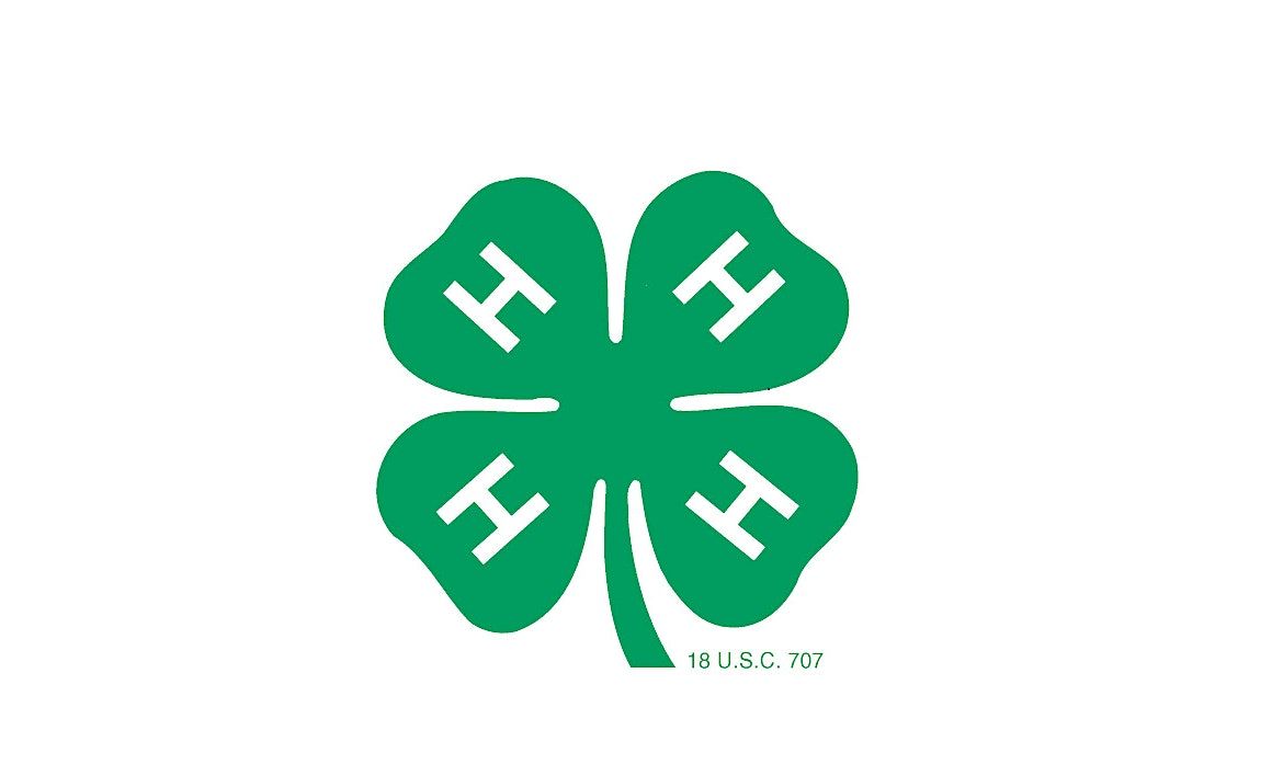 Seminole County 4-H Volunteer Orientation In Person