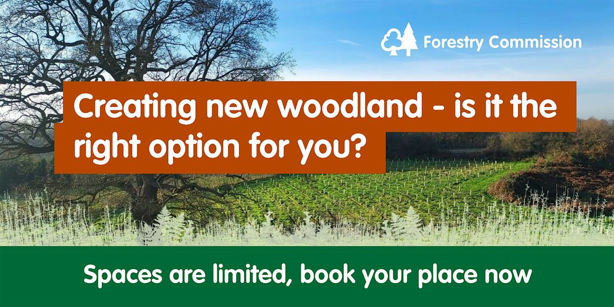 Creating new woodland - is it the right option for you?