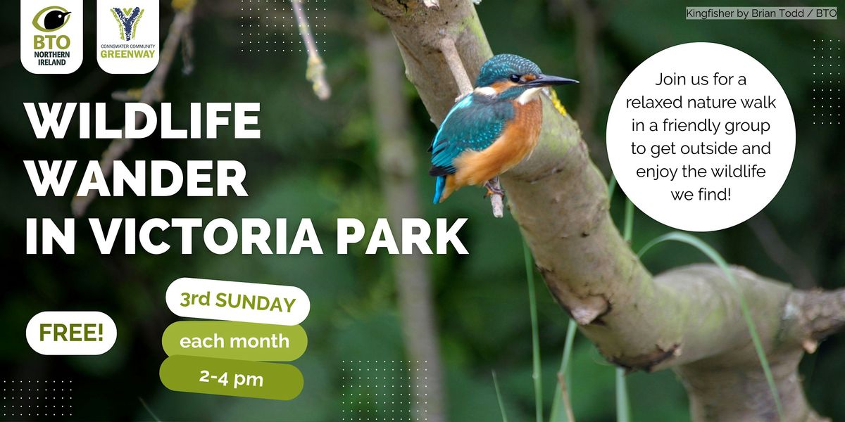 Wildlife Wander in Victoria Park