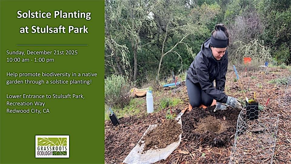 Volunteer in Redwood City: Solstice Planting at Stulsaft Park