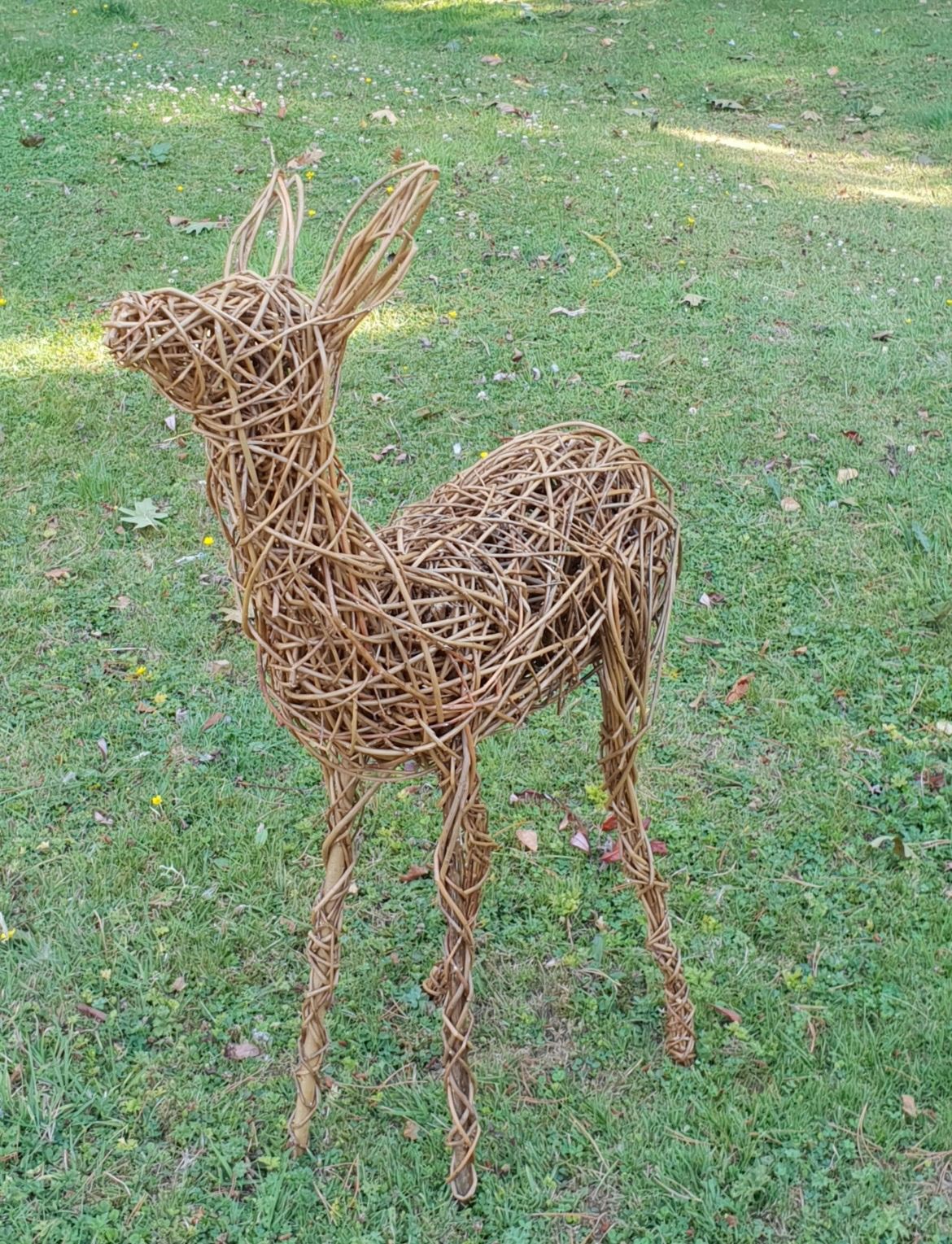 Willow Weaving The Baby Reindeer (Fawn) Burton Latimer