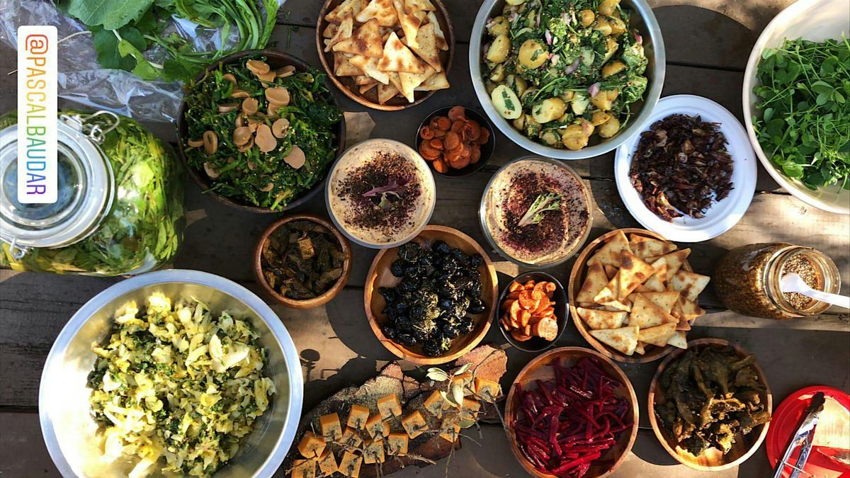 Eco-Friendly Foraging - Plants Walk \/ Wild Food Tasting & Drinks