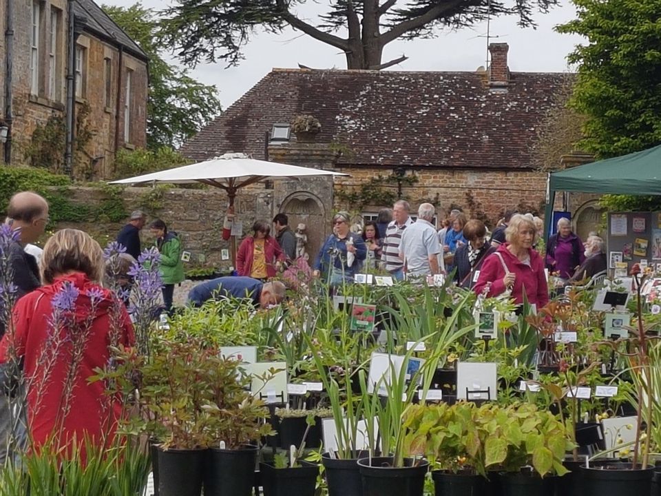 Yarlington House Specialist Plant Fair