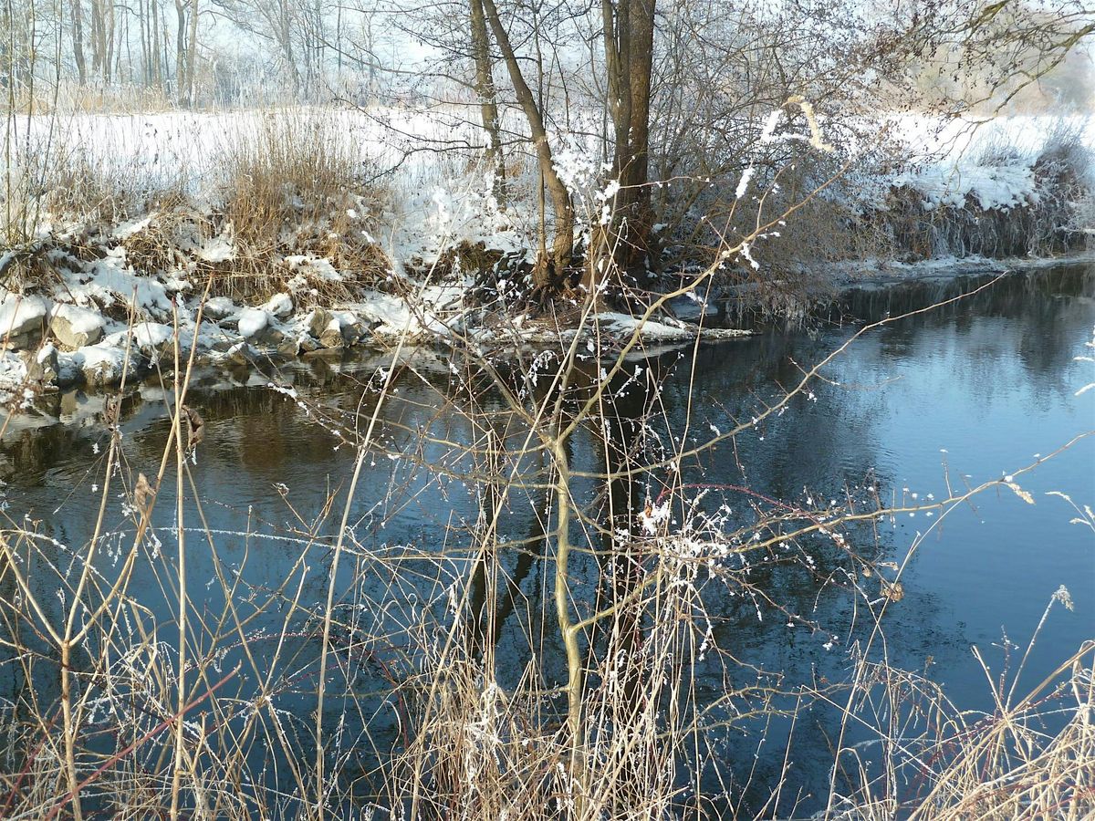 Dreik\u00f6nigspilgern: Mit Klarheit ins neue Jahr 2026 aufbrechen