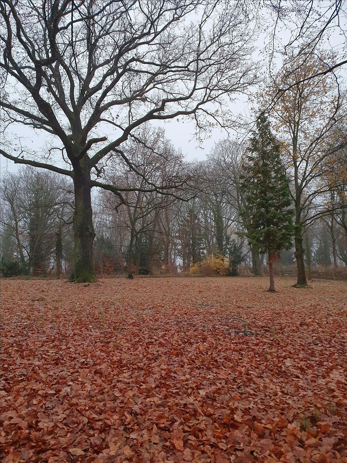 Energie und Geschwindigkeit - ein Coaching-Spaziergang