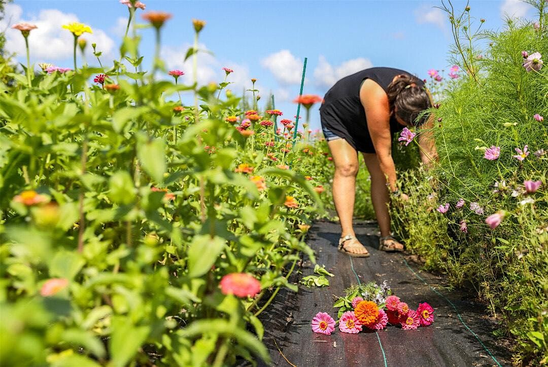 U-Pick Flowers