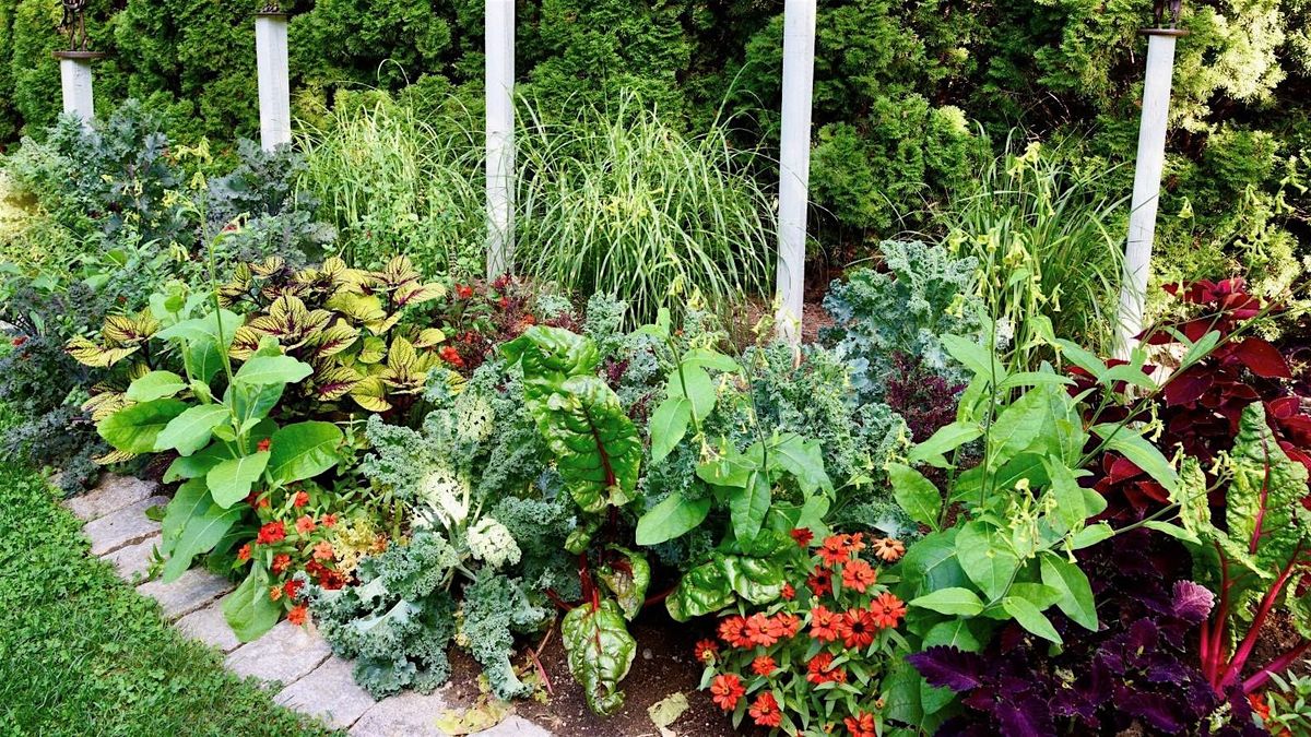Garden Vignettes: Mini Gardens for Maximum Joy