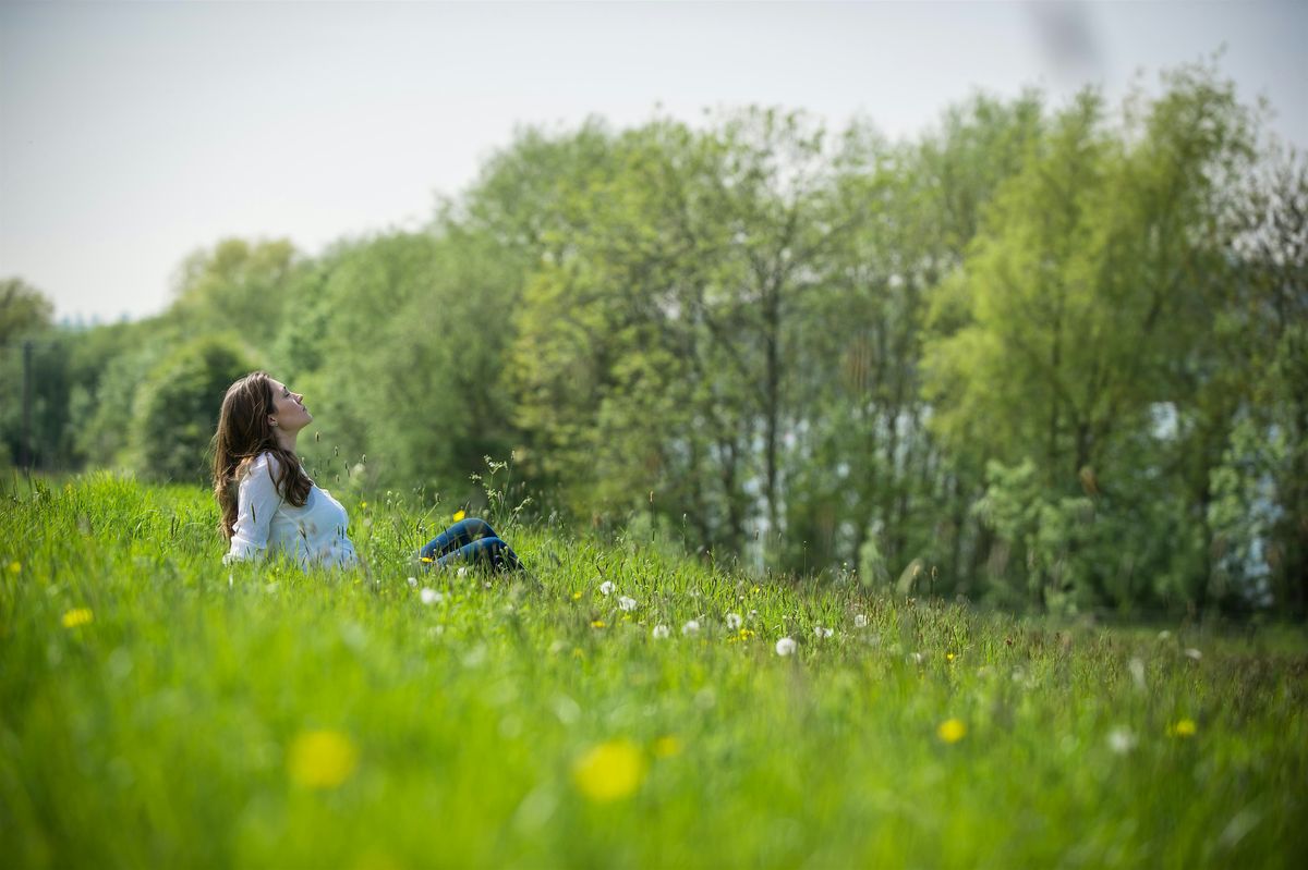'A Restful Pause' Forest Bathing, College Lake - Sunday 09 November