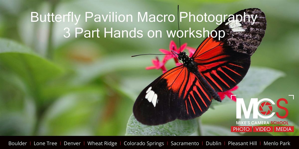 2026 Macro Photography at Butterfly Pavilion - 3 Part workshop