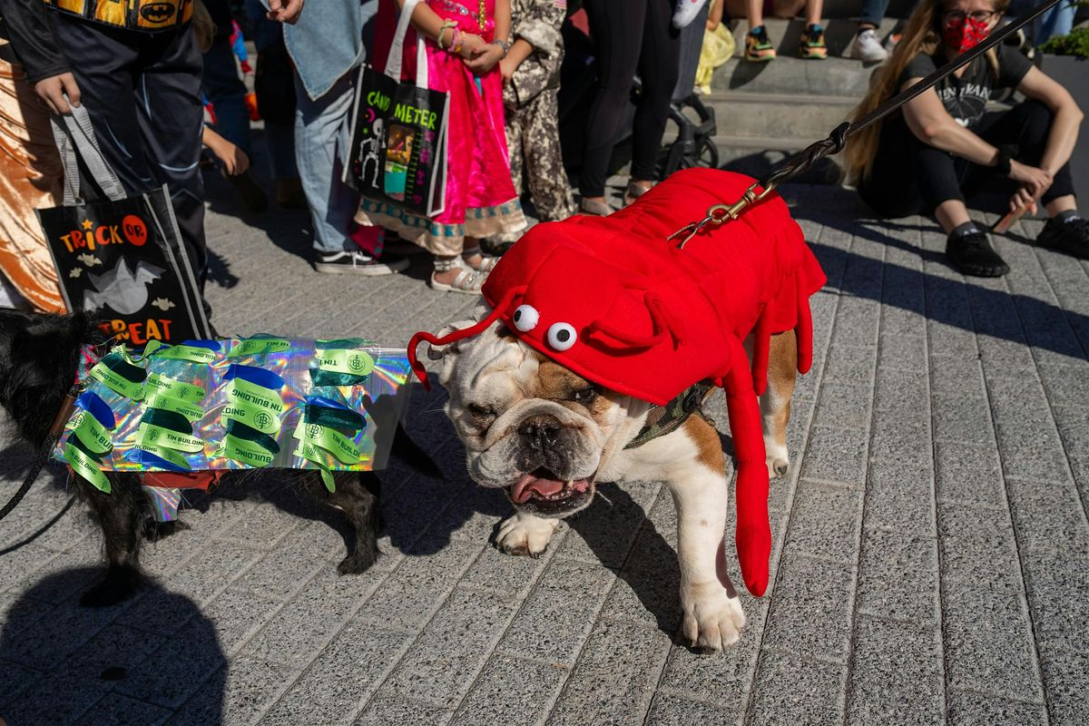 Howl-O-Ween on the Heineken Riverdeck