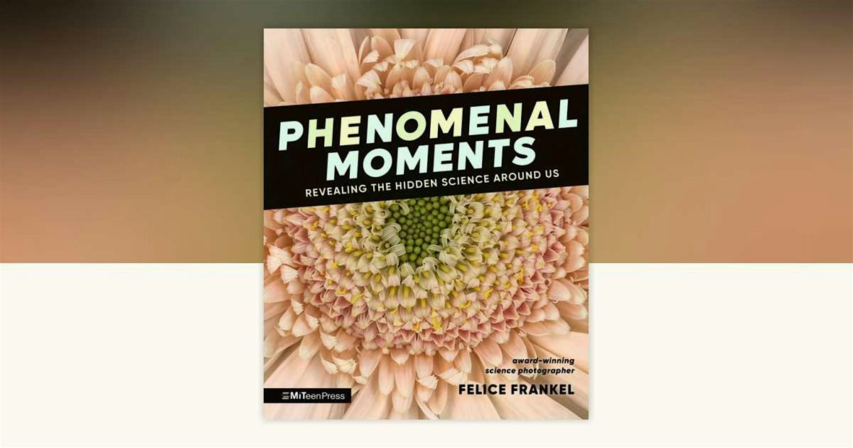 Felice Frankel's 'Phenomenal Moments'