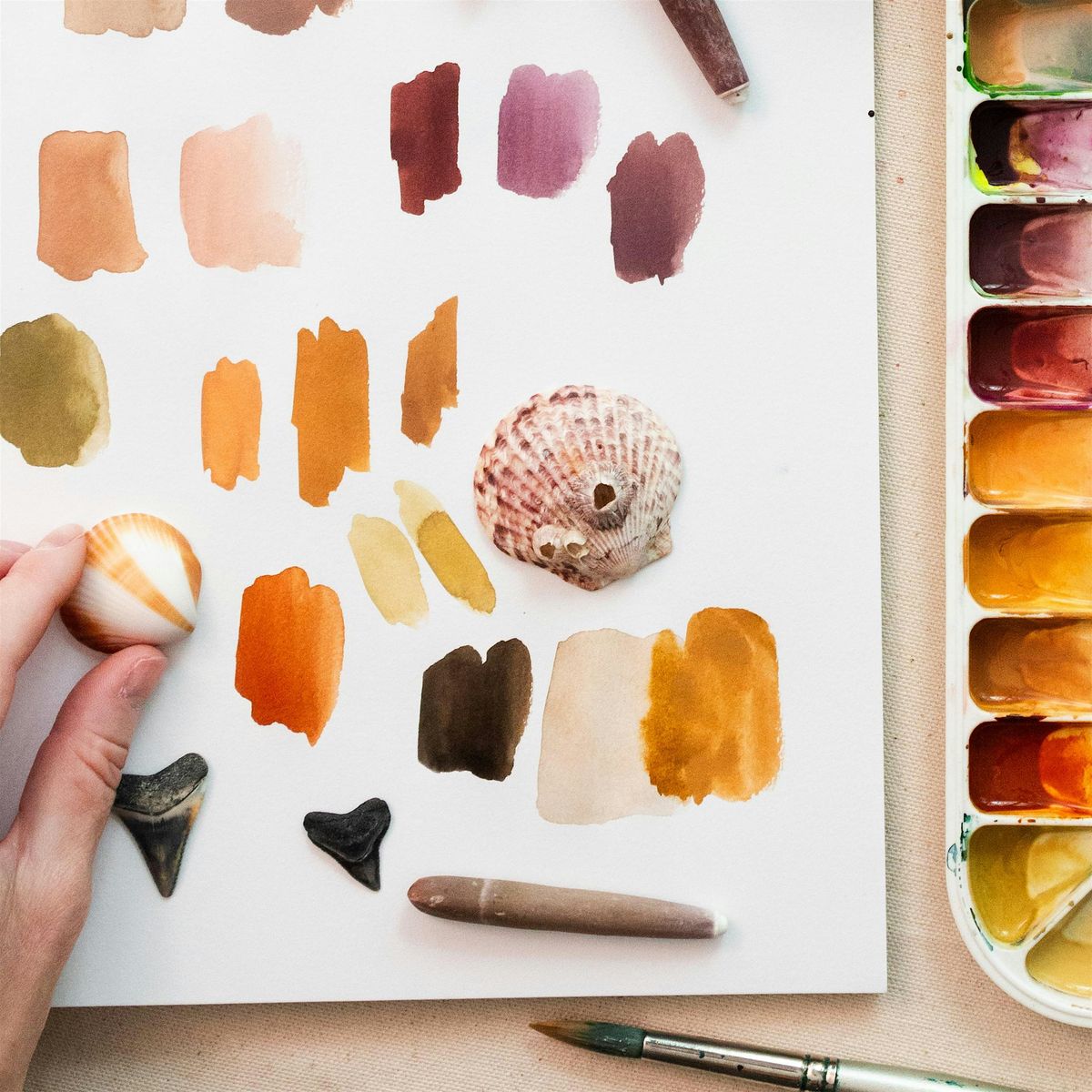 Workshop | Shells and Shark Teeth in Watercolor