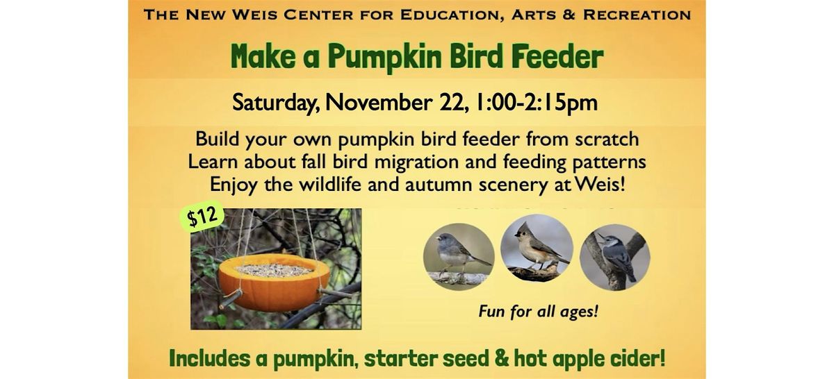 Pumpkin Bird Feeders!