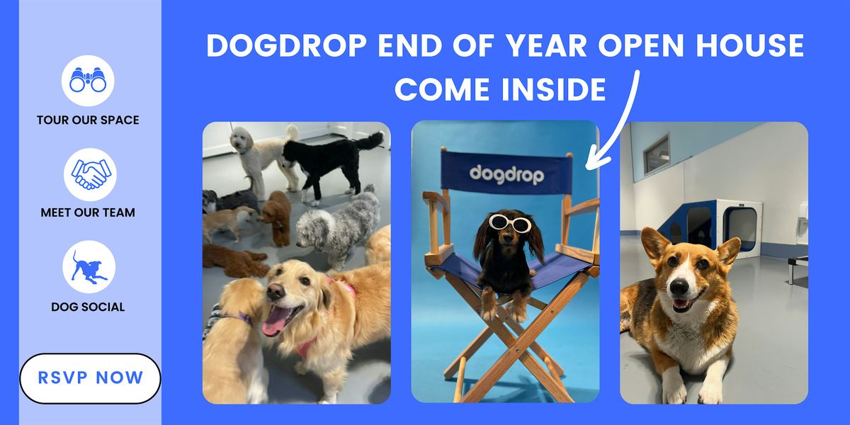 End of the Year Open House at Dogdrop - Flagler Village