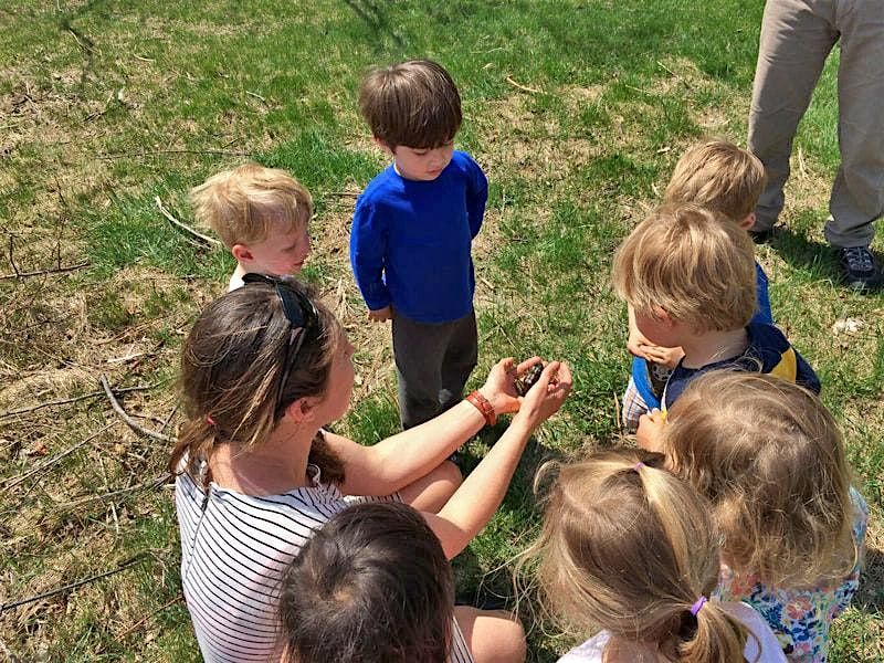 Nature Kids!! - Family Workshop Series