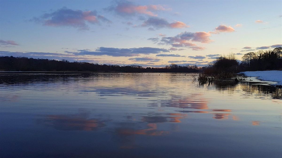 Whitlingham Lake walk