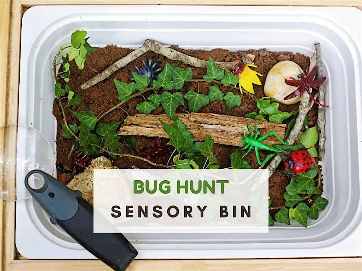 Bug Sensory Garden