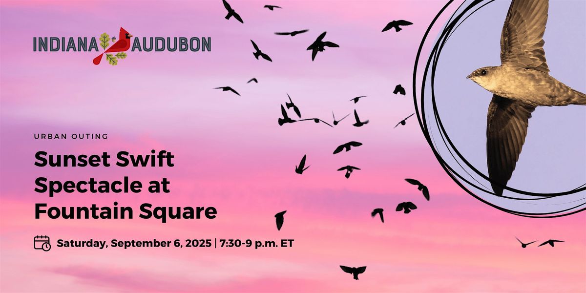 Sunset Swift Spectacle at Fountain Square