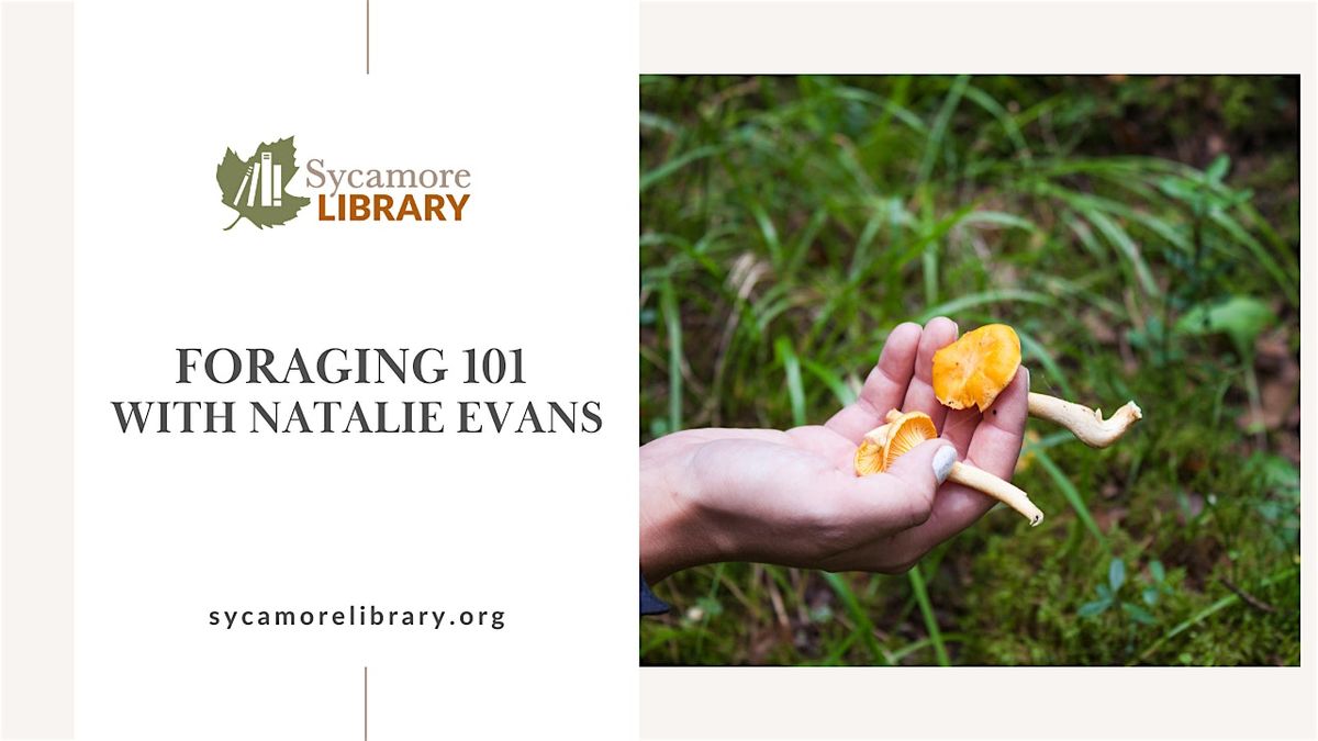 Foraging 101 with Natalie Evans