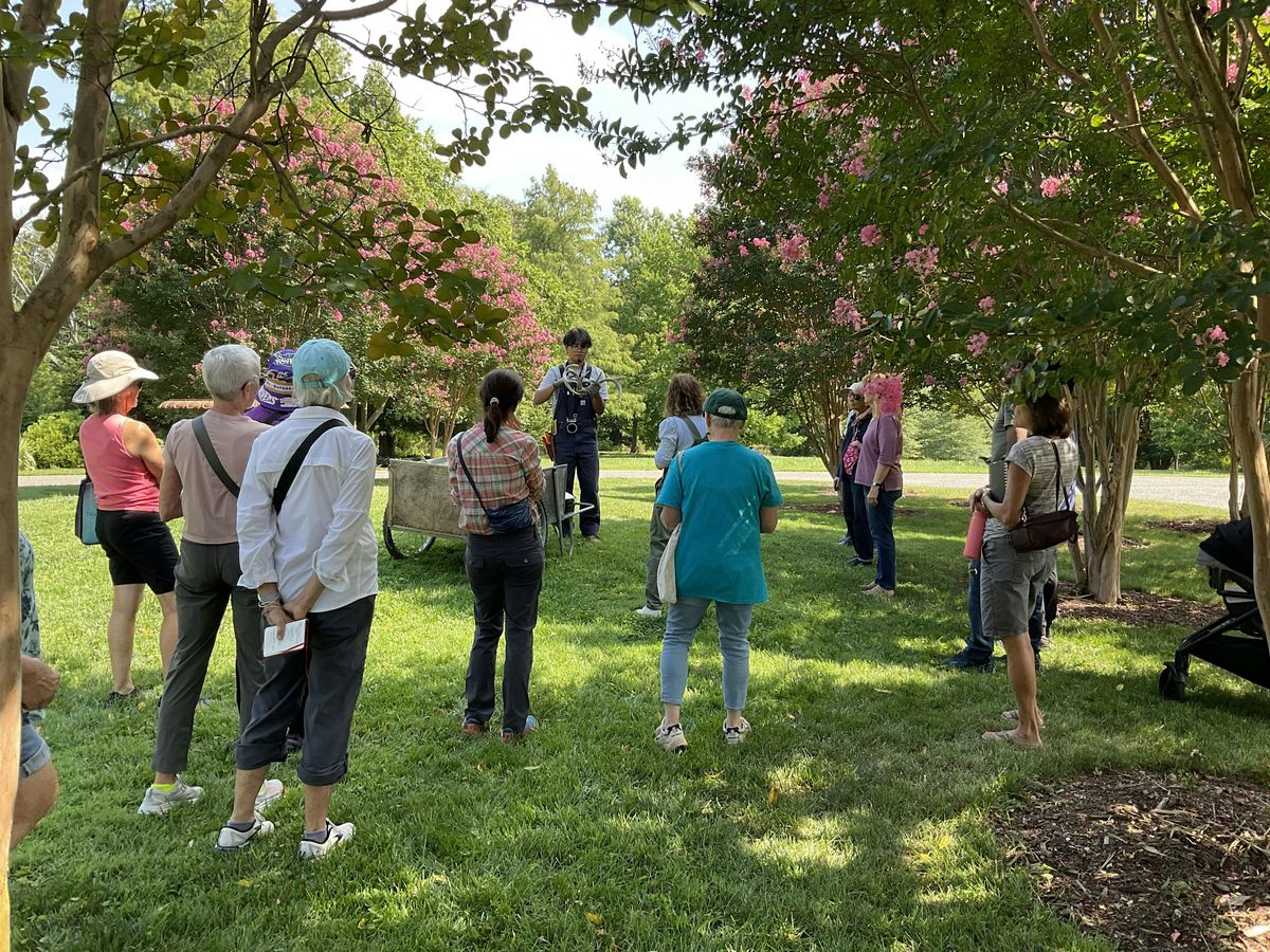 Gardener's Workshop: Gardening in Late Summer