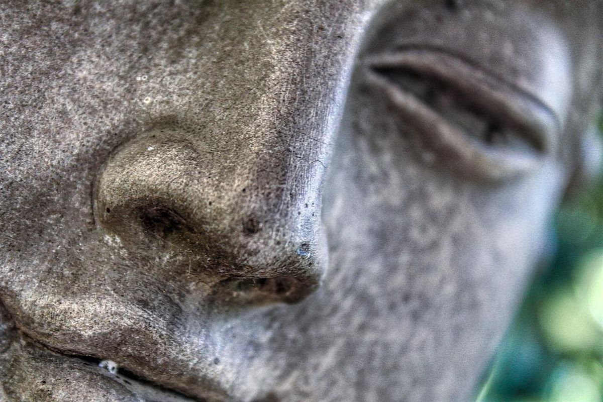 The Art of Connection  (Tantra + Somatics ) Singles & Couples both welcome