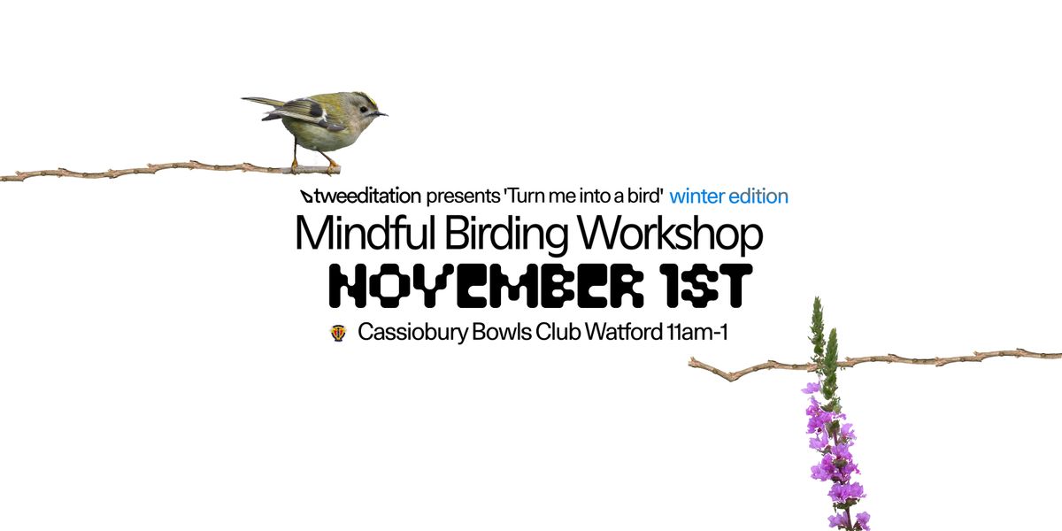 Turn me into a bird! Mindful Birding Workshop