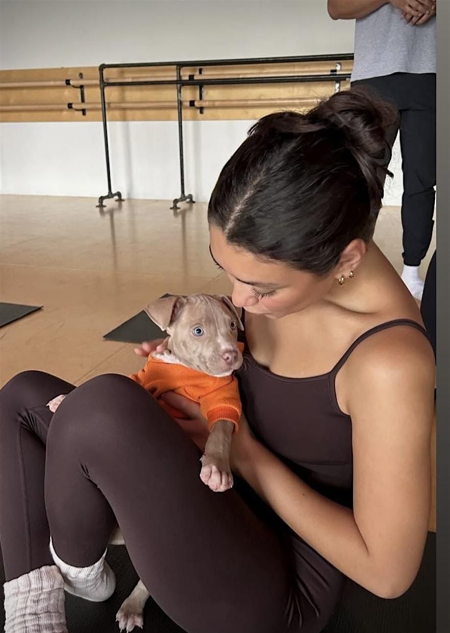PUPPY YOGA DETROIT