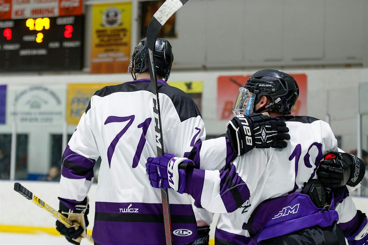 Toledo Mobsters Hockey VS Summit City