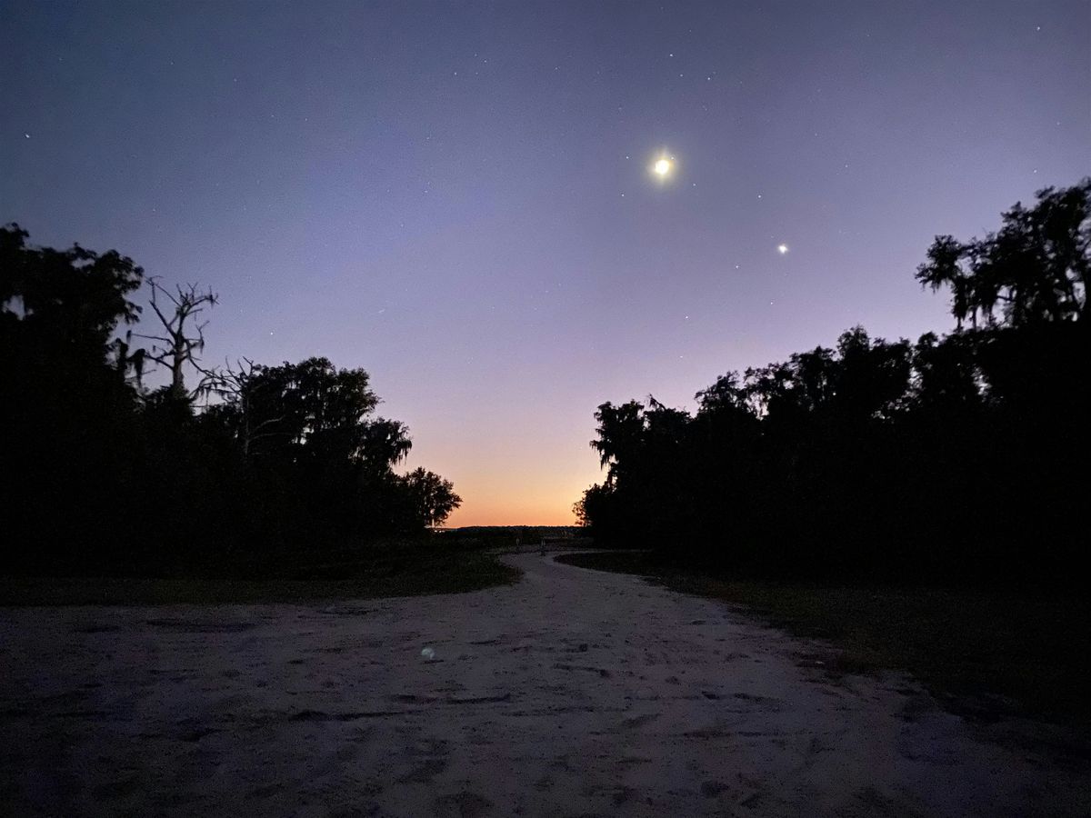 Night Hikes at Sweetwater Wetlands Park - $5.25\/Person