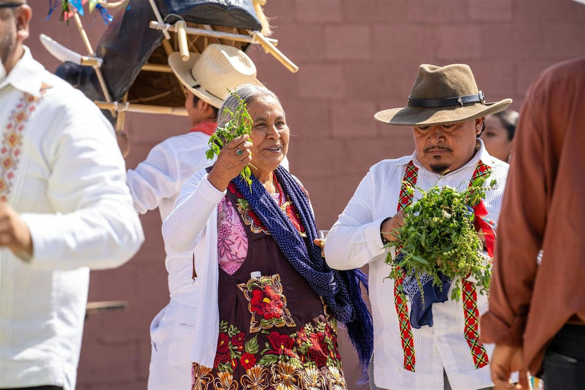 Mezcal Por Siempre: Year Two